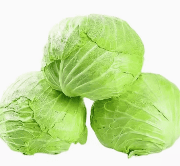 包菜，卷心菜